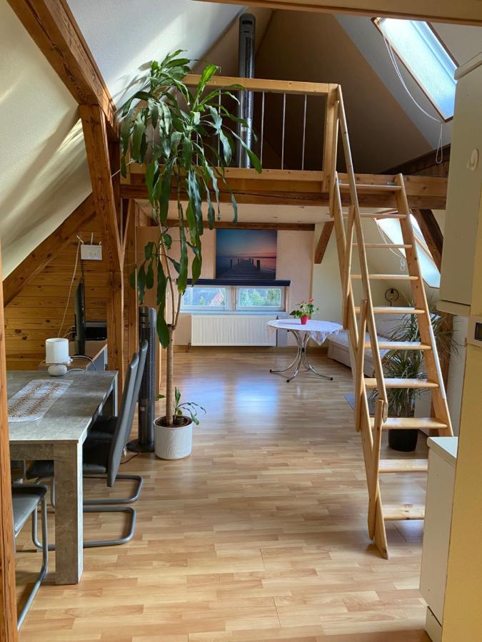 Helles Und Charmantes Loft Mit Herrlichem Blick Dresden Exterior foto