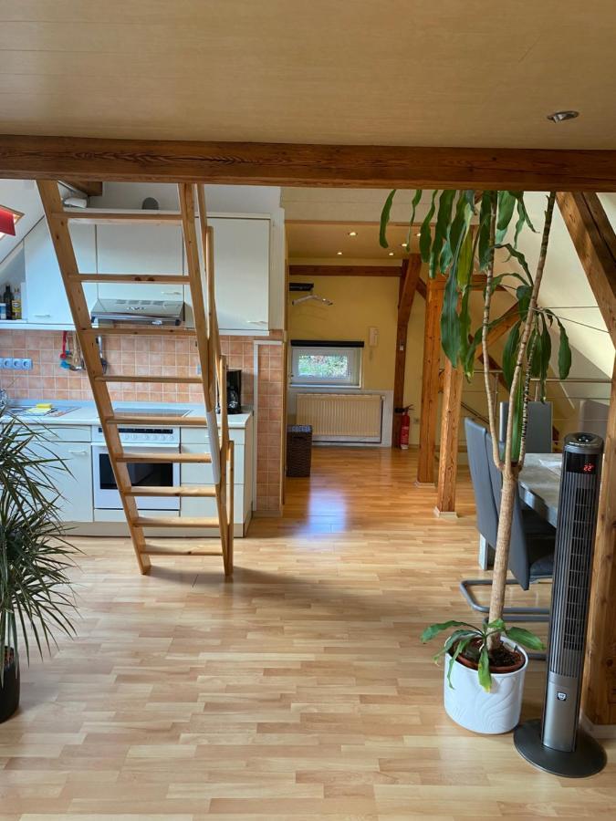 Helles Und Charmantes Loft Mit Herrlichem Blick Dresden Exterior foto